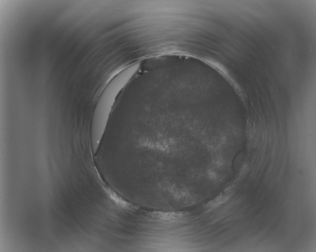 X0000062791289200601051036