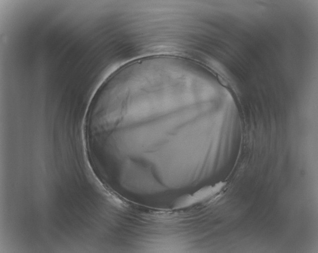 X0000062791291200601051036