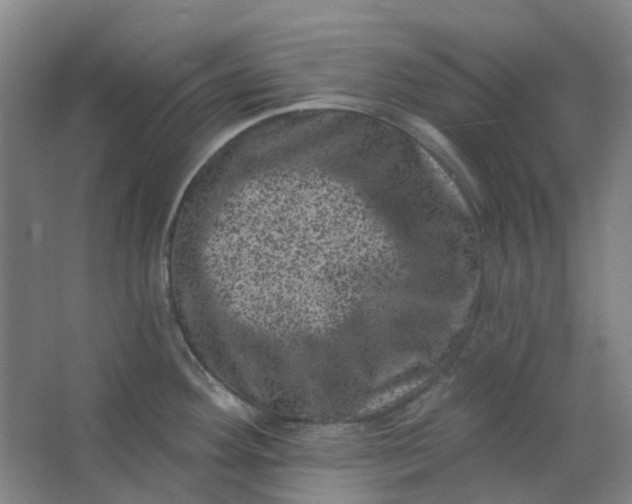 X0000062791292200601051036