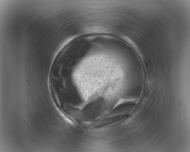 X0000062791293200601051036