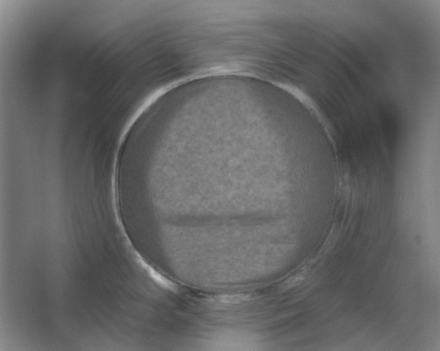 X0000062791294200601051036