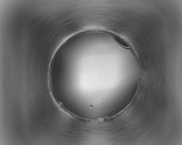 X0000062791295200601051036