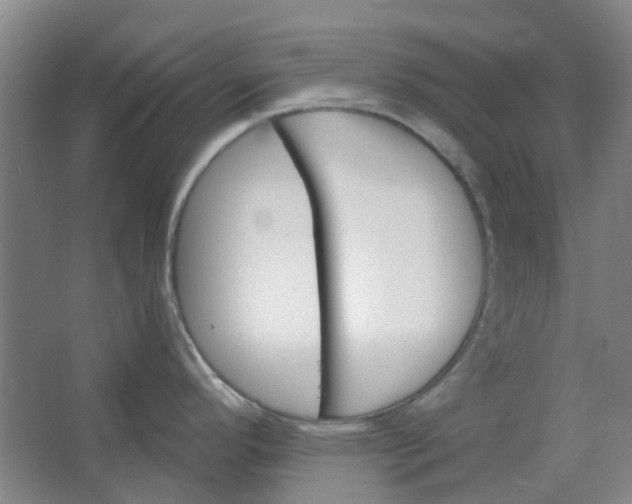 X0000062791296200601051036