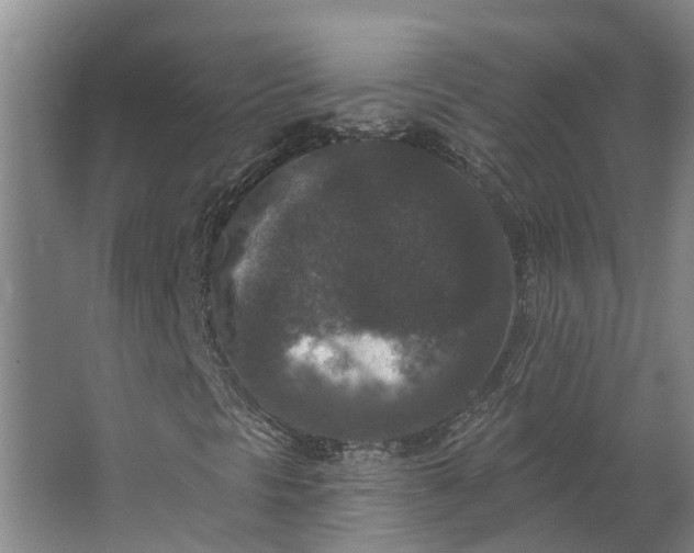 X0000062791297200601051035