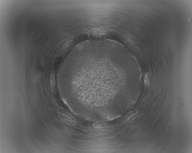 X0000062791299200601051035