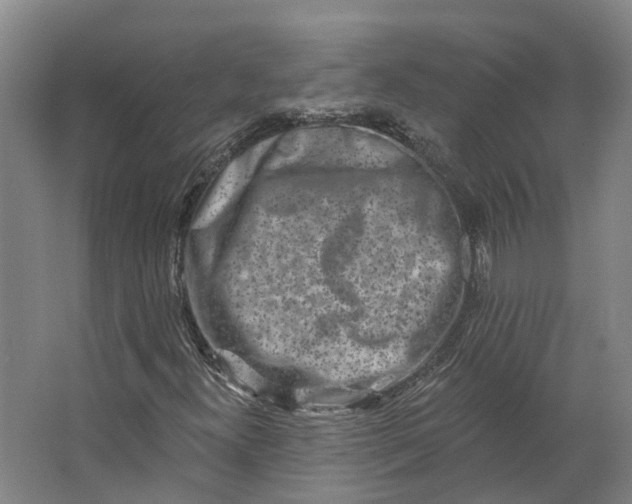 X0000062791300200601051035