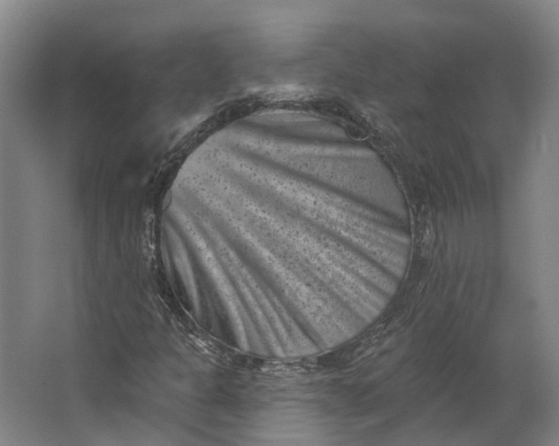 X0000062791301200601051035