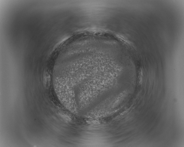 X0000062791302200601051035