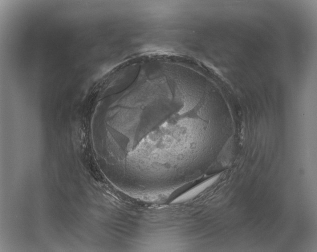 X0000062791303200601051035