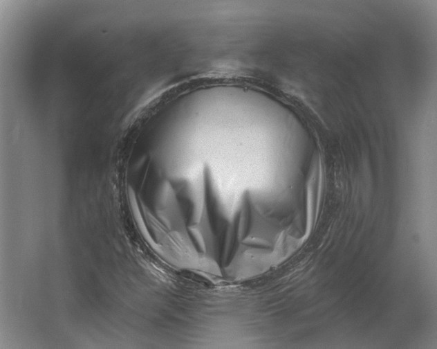 X0000062791304200601051035