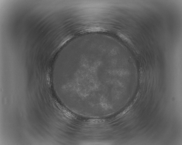 X0000062791305200601051035