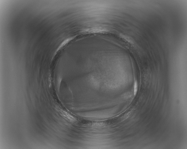 X0000062791306200601051035