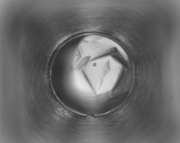 X0000062791308200601051035