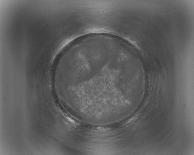 X0000062791311200601051035