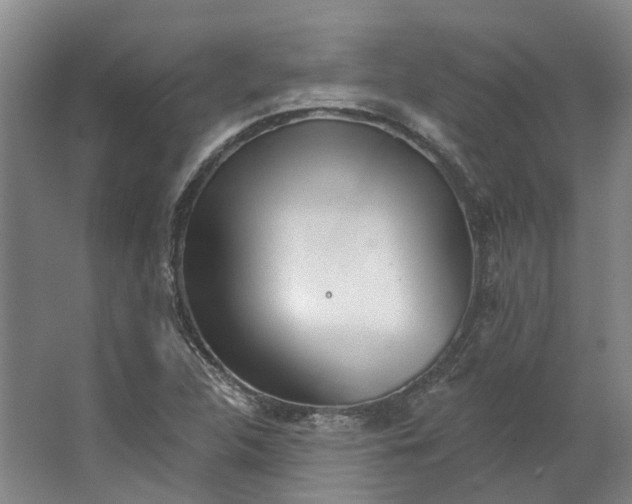 X0000062791312200601051035