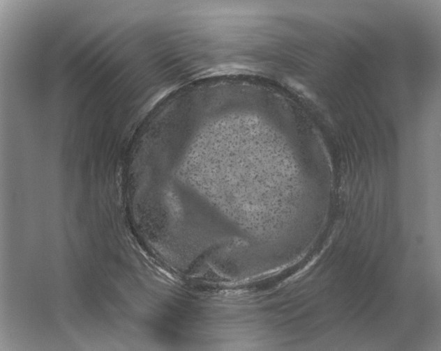 X0000062791313200601051035