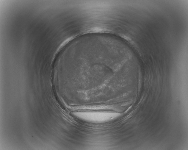 X0000062791314200601051035