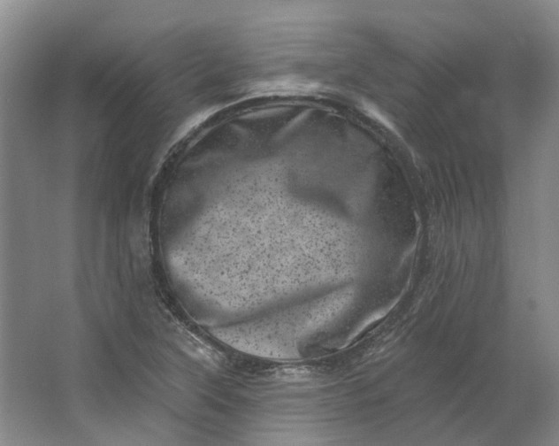 X0000062791315200601051035