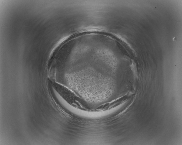 X0000062791317200601051035