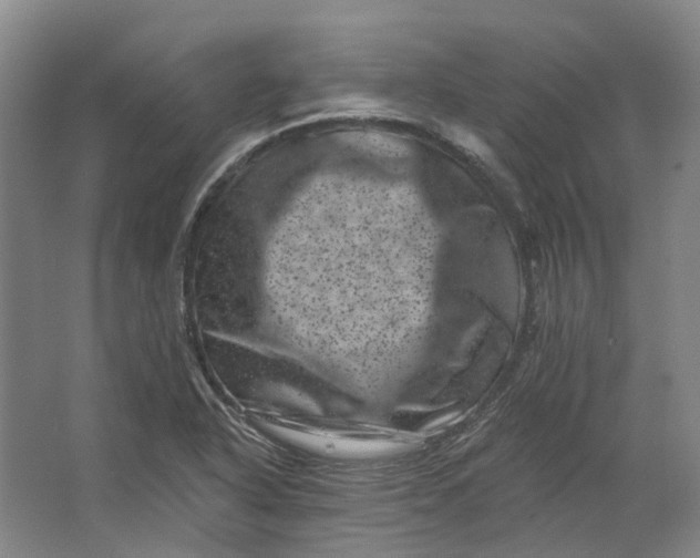 X0000062791318200601051035