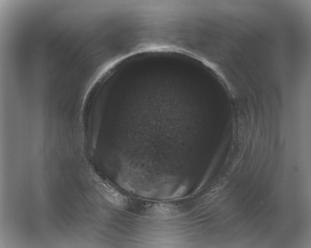 X0000062791319200601051035