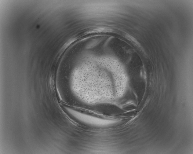 X0000062791321200601051035