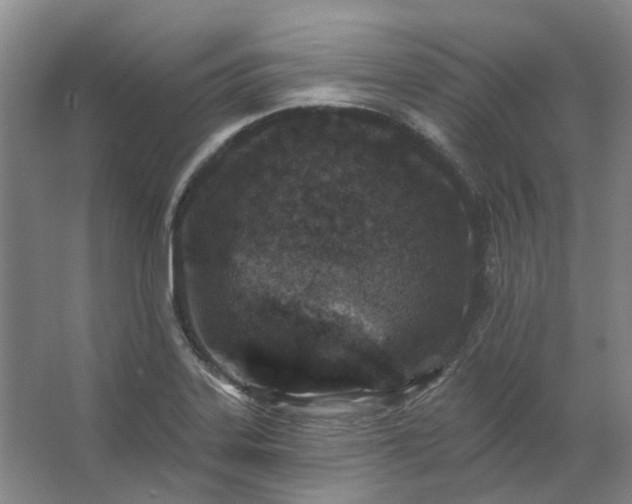 X0000062791323200601051035