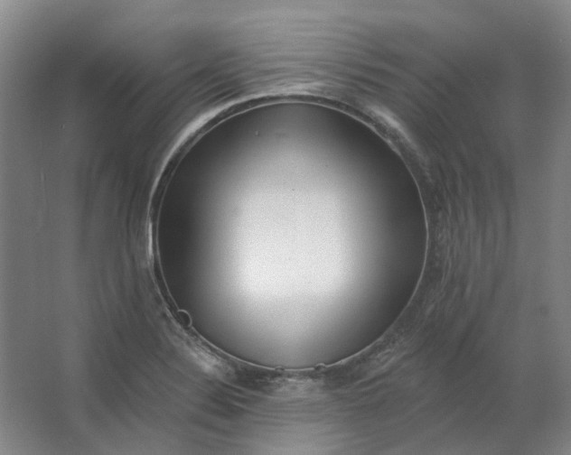 X0000062791324200601051035