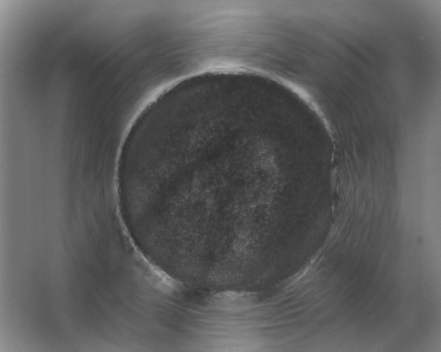 X0000062791327200601051035