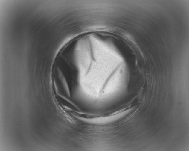 X0000062791328200601051035