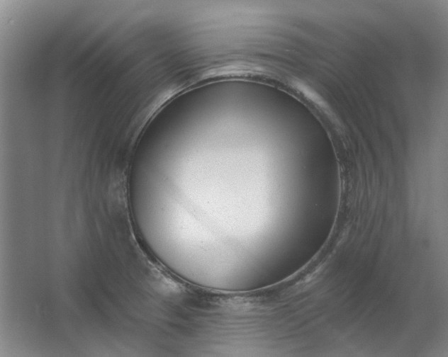 X0000062791329200601051035