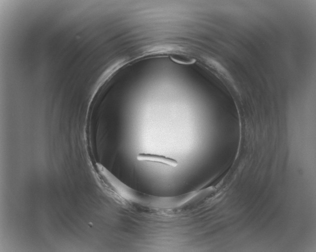 X0000062791330200601051035