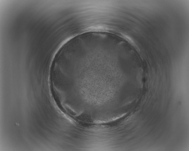 X0000062791331200601051035