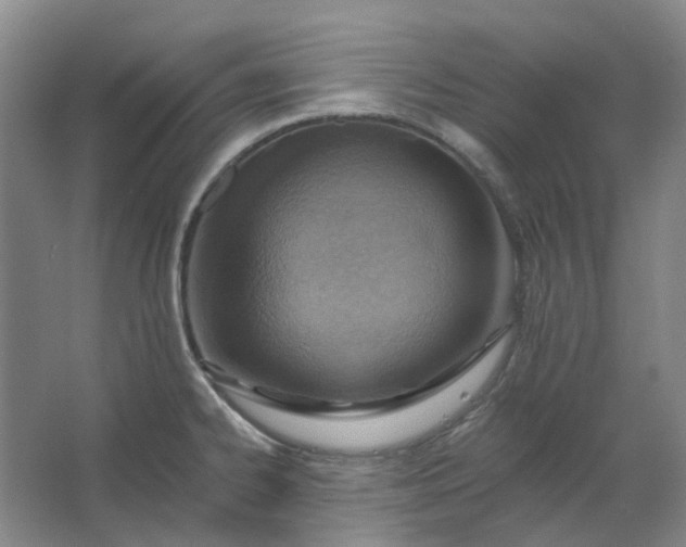 X0000062791334200601051036