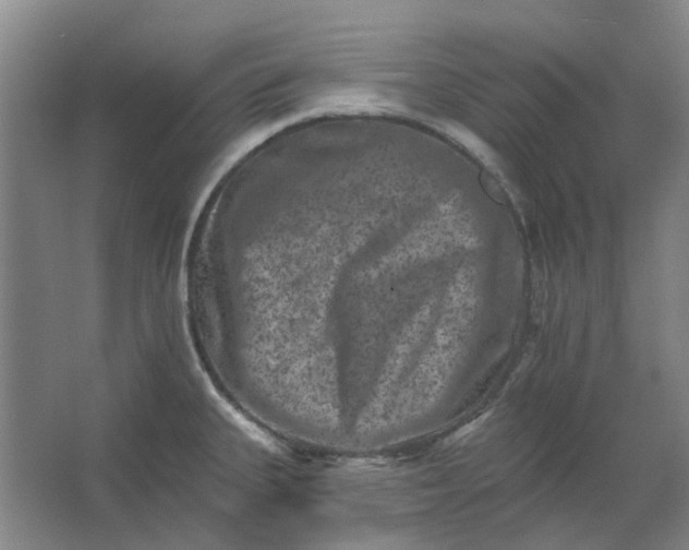 X0000062791335200601051036