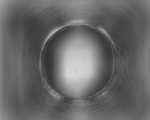 X0000062791336200601051036