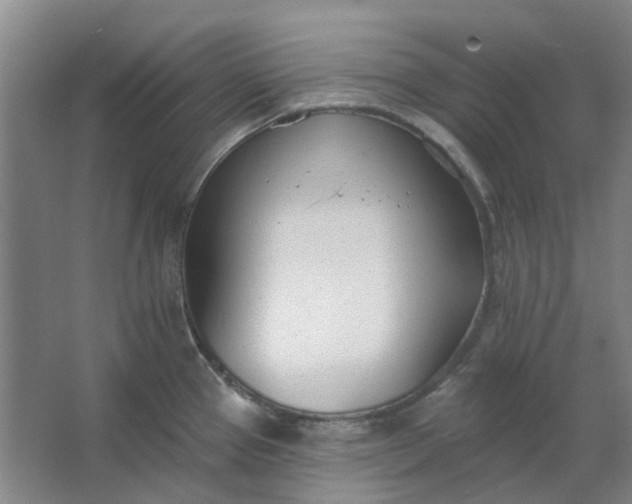 X0000062791337200601051036