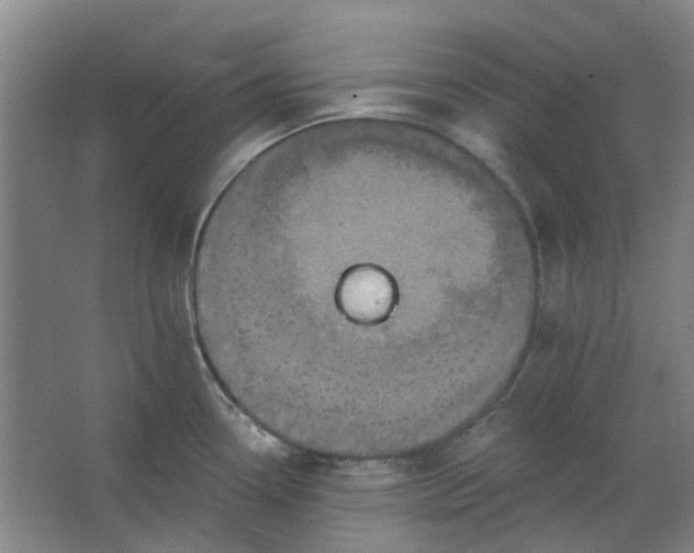 X0000062791338200601051036