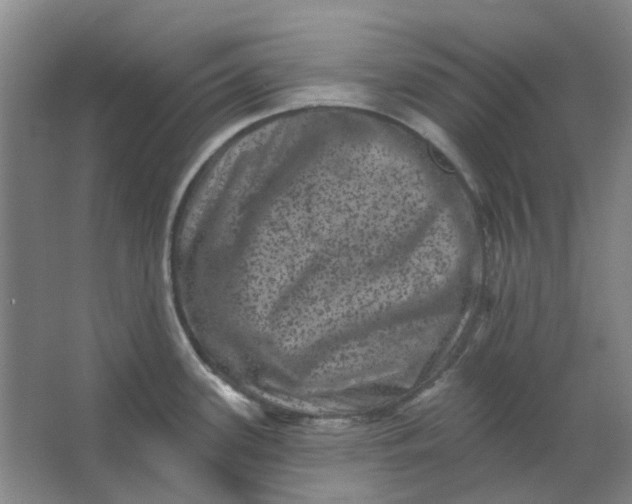 X0000062791339200601051036