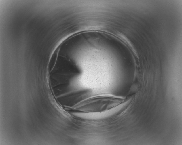 X0000062791340200601051036