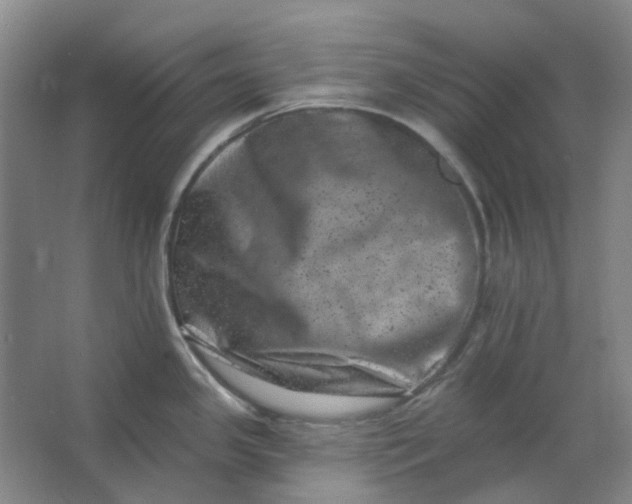 X0000062791341200601051036