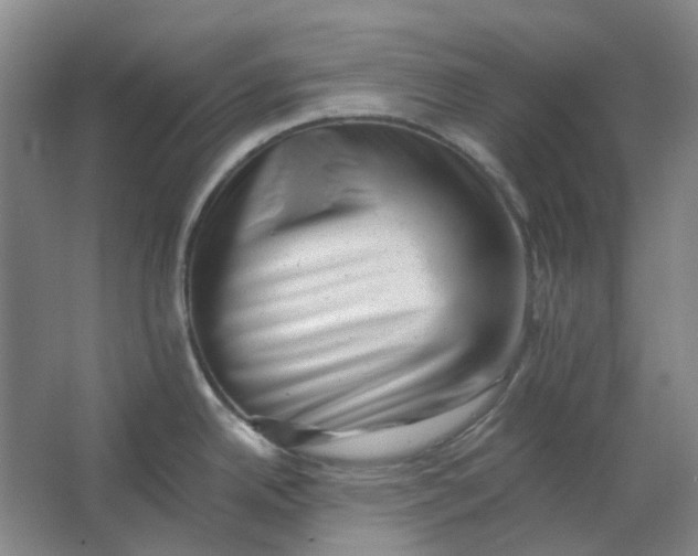 X0000062791342200601051036