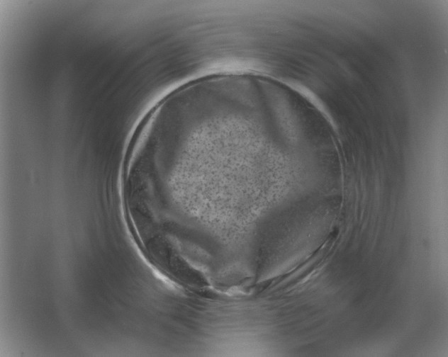 X0000062791343200601051036