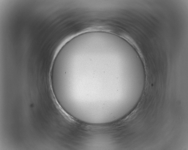 X0000062791344200601051036