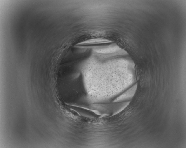 X0000062791345200601051035