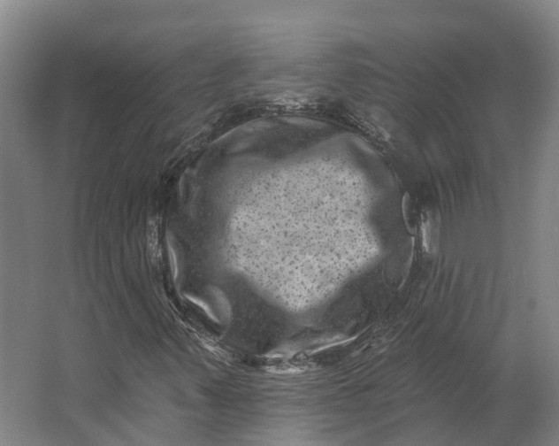 X0000062791347200601051035