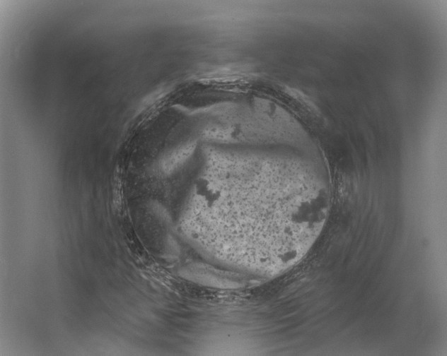 X0000062791350200601051035