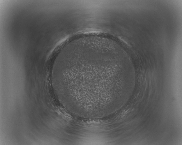 X0000062791351200601051035