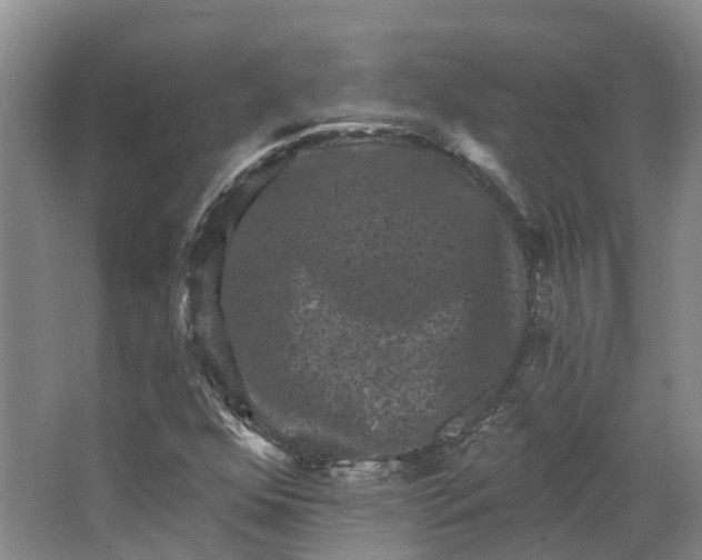 X0000062791352200601051035