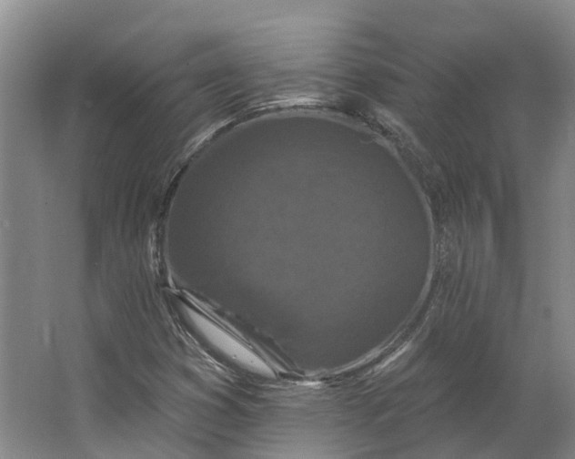 X0000062791353200601051035